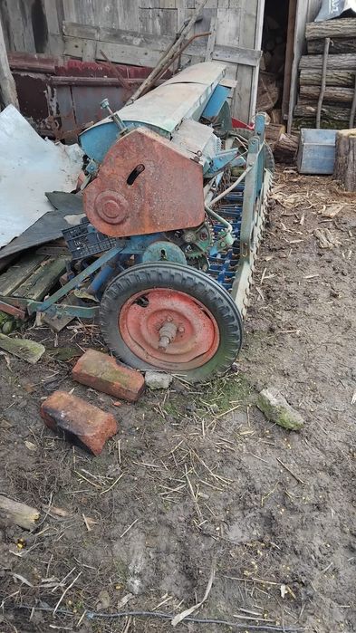 Vând oi semanatoare si un plug