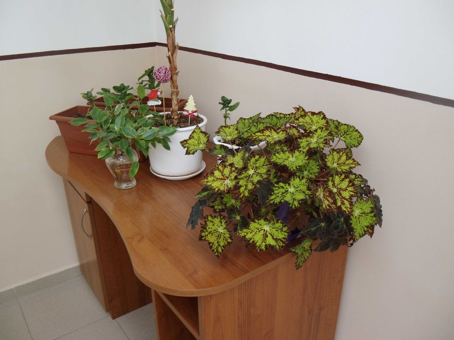 фотоапарат MAGINON Z1600 - 16.1 MPx