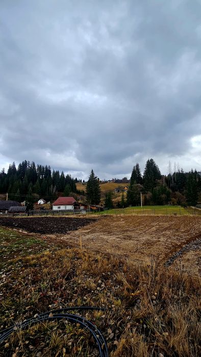 Teren intravilan langă Vatra Dornei