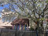Vila Vlad Mamaia Nord