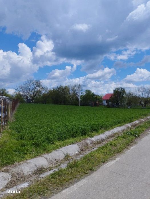 Super Ocazie Se Vinde Teren La Cel Mai Mic Pret La Delta Neajlovului B