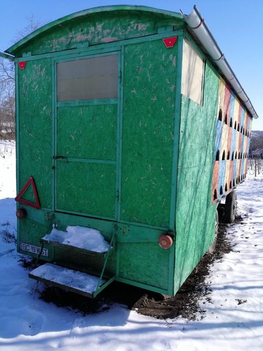 Vagon apicol 60 familii