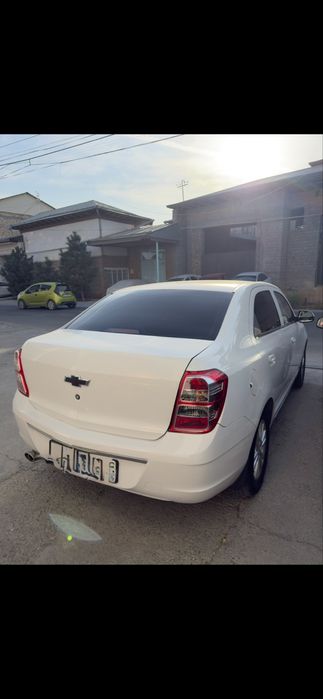 Kobult srochno sotiladi