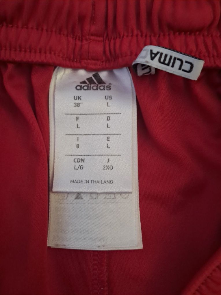 Къси панталони Bayern Munchen размер L Adidas