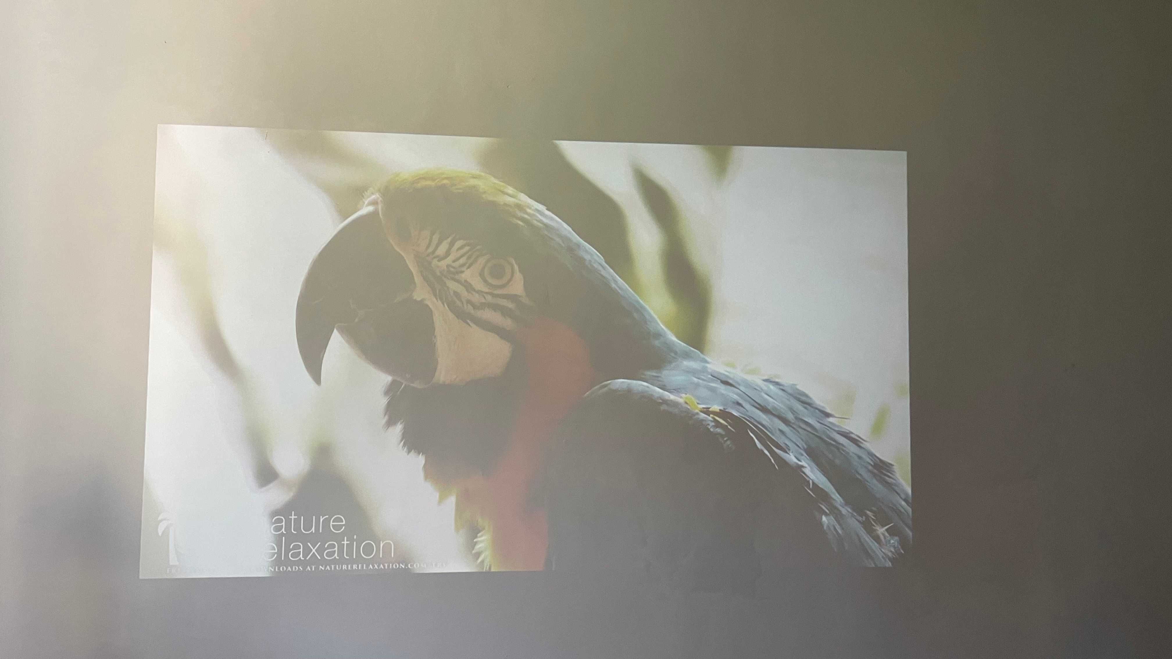 Проектор Optoma W355 DLP HD