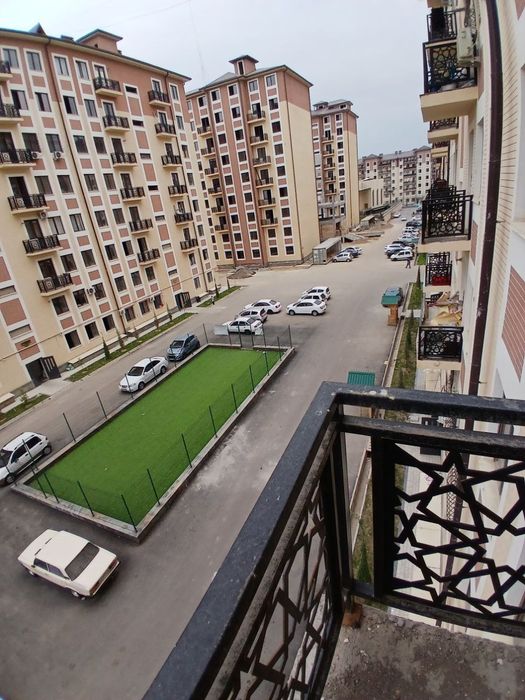 Бек барака домлари