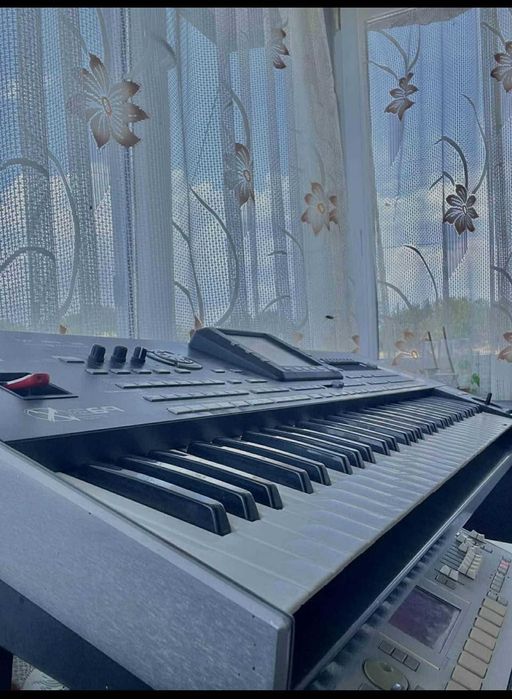 Korg Pa3x/256 Ram