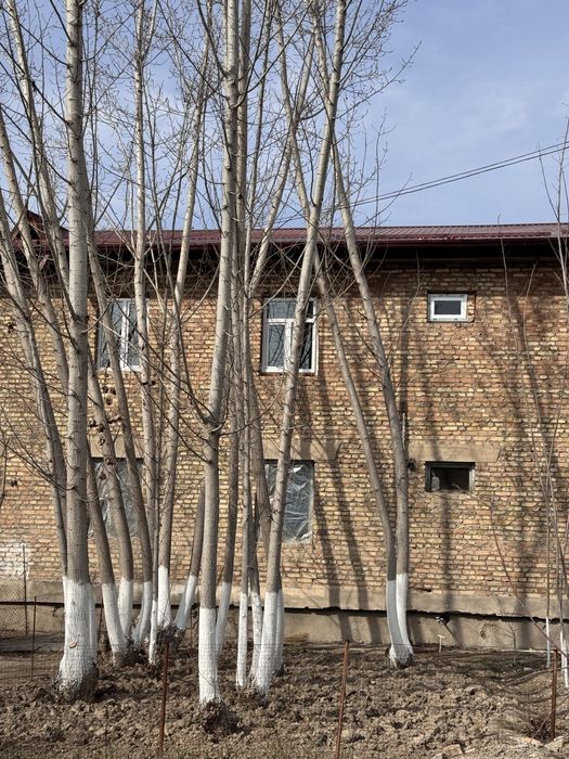 Норин Хаққулобод 3 хонали янги ремонтли квартира сотилади