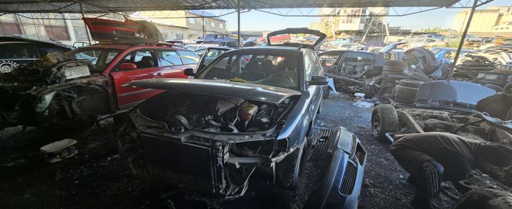 Trager / Calandru Volkswagen VW Passat B5