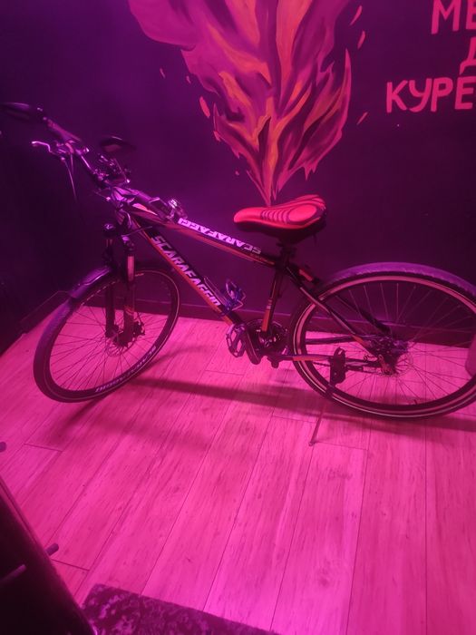 Velo  sotiadi  narxinkelishamza