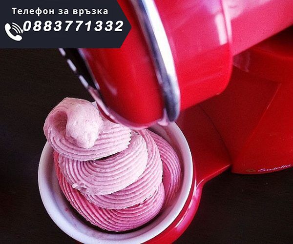 НЕМСКИ Домашна машина за плодов сла – Fruit yogurt machine + ЛЕД ФЕНЕР