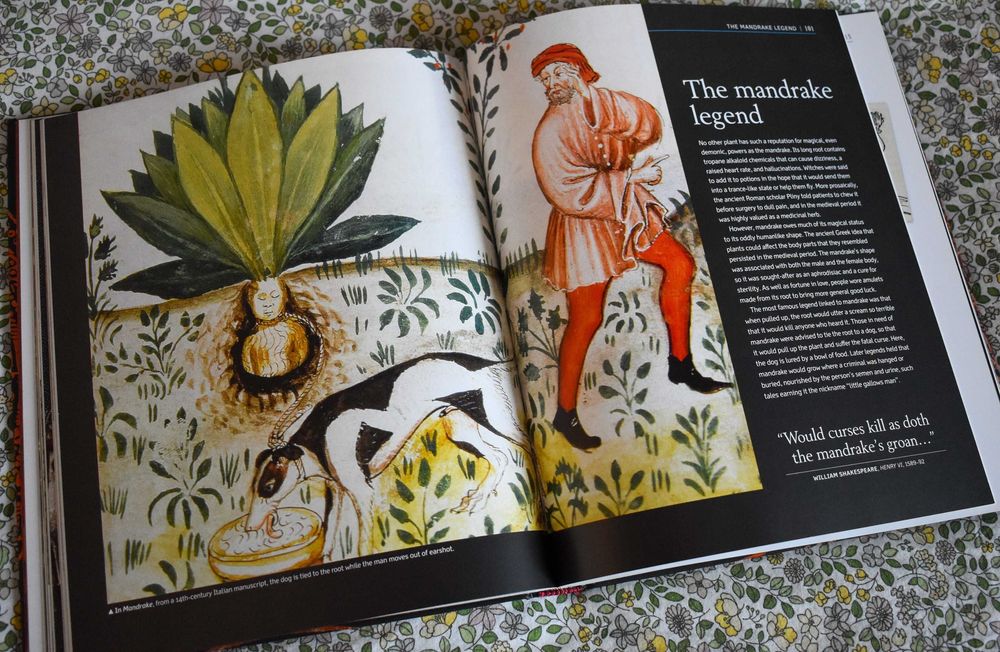 MAGIC and Witchcraft & Occult