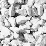 var nestins bonus carte paulescu