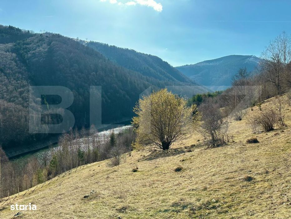 Teren 14 ha compact langa Lacul Tau Bistra