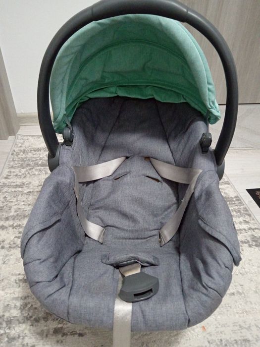 Scoică bebeluși în stare bună