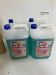 Detergent lichid Gentile antipete igienizant haine colorate box 20 ltr