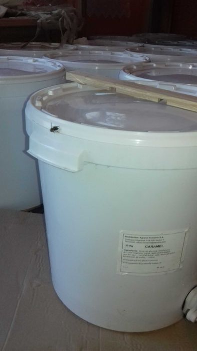 Miere floarea soarelui 2025