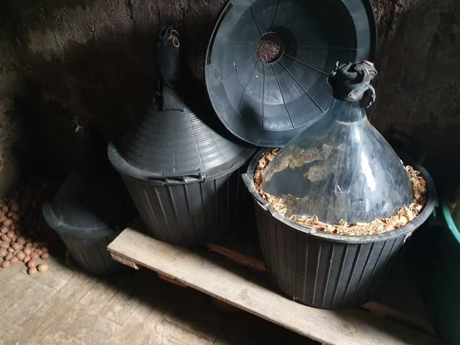 Damigene 50 litri in carcasă din plastic