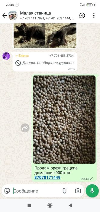 Орехи грецкие Продам