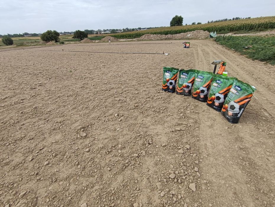 Gazon urug‘. Газон