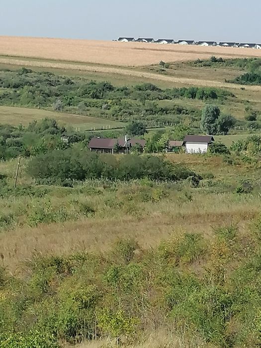 Vând teren extravilan