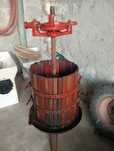 Storcatoare struguri diferite modele.