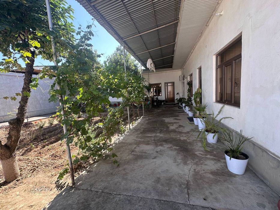 Ховли сотилада.   Охунбобоевда узумбог кучада