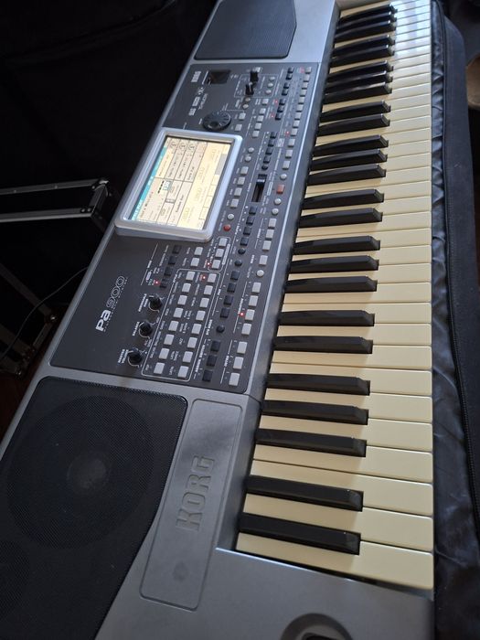 Vand Korg PA 900
