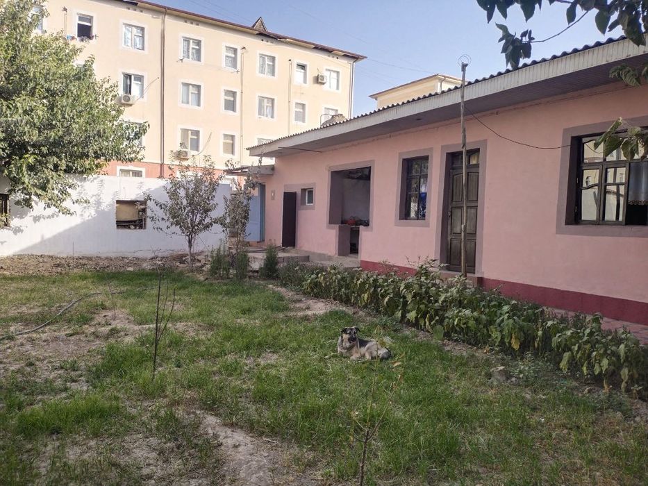 Termiz shaxrida 3 sotixli yer sotiladi
