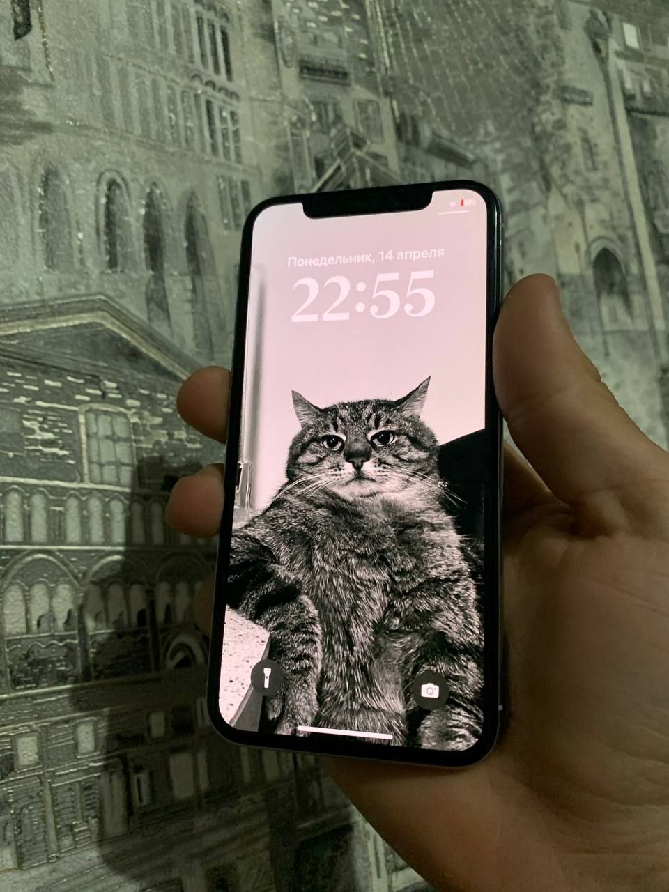 Iphone X         .