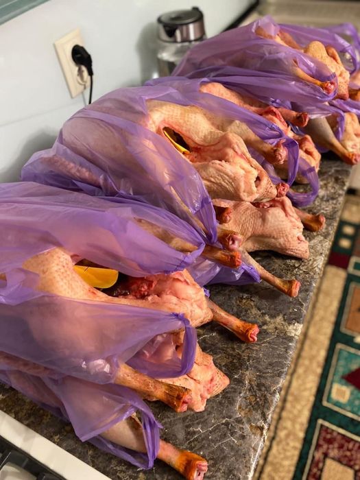 Продам домашних гусей, тушками