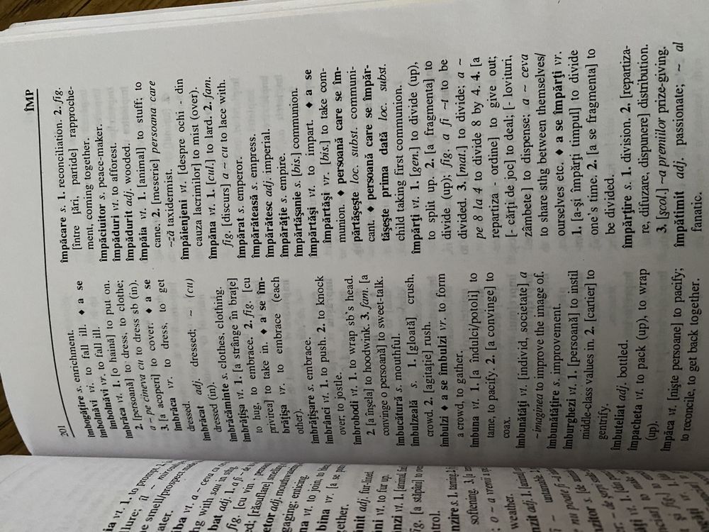 Dictionar englez-roman & roman-englez