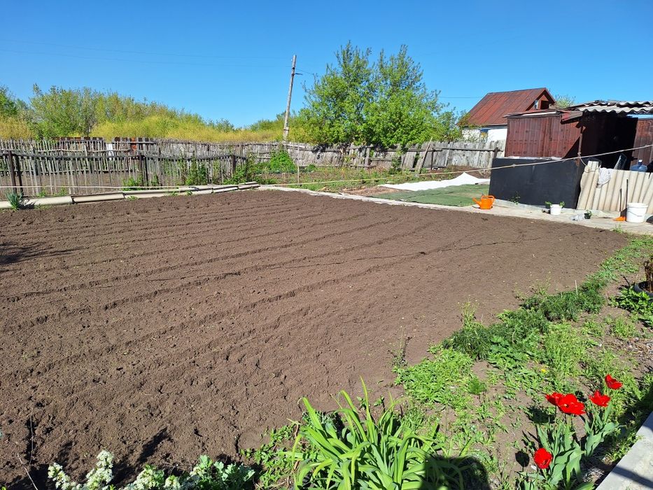 Продам дачу в Сортировке, общество Ромашка