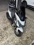 Skuter tiger max