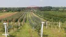 PLATA in transe! Livada/Ferma teren Jud.Arges-Izbasesti / DN 142