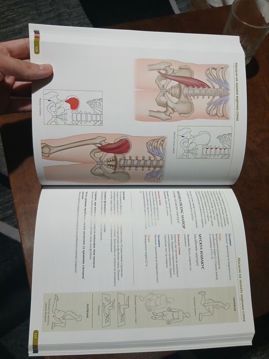 Всичко за мускулите - Крис Джарми