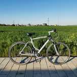 City Bike Giant Tropper cu roti 28