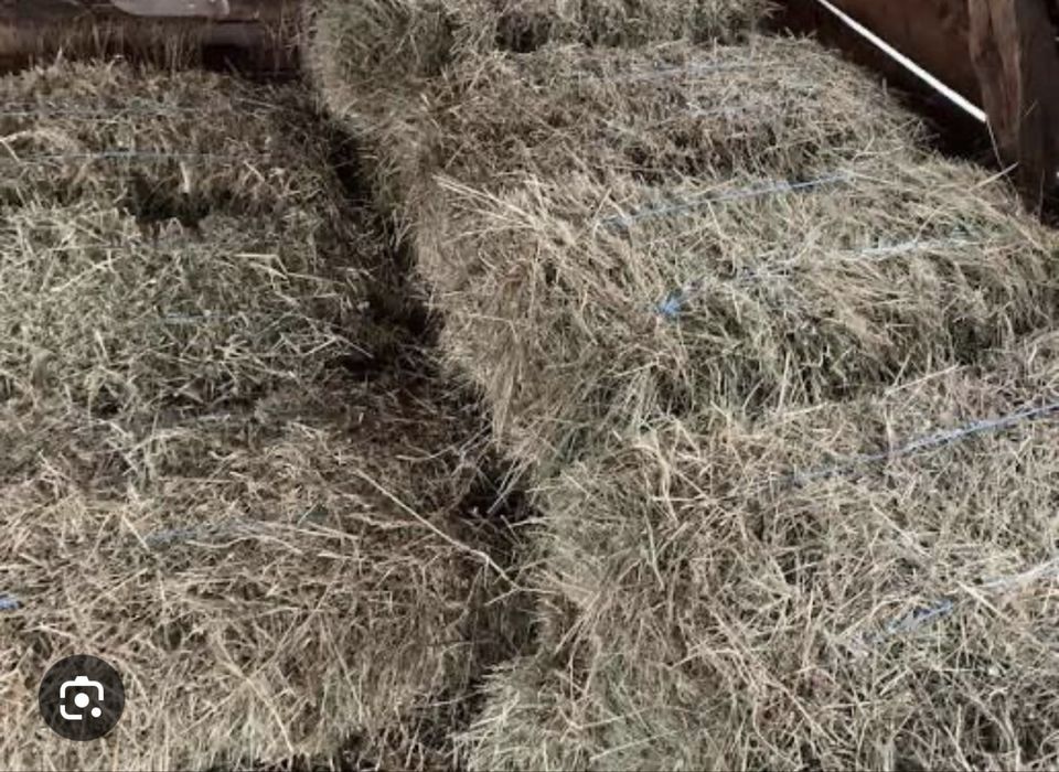 Baloti otava si fan calitate superioara 2025