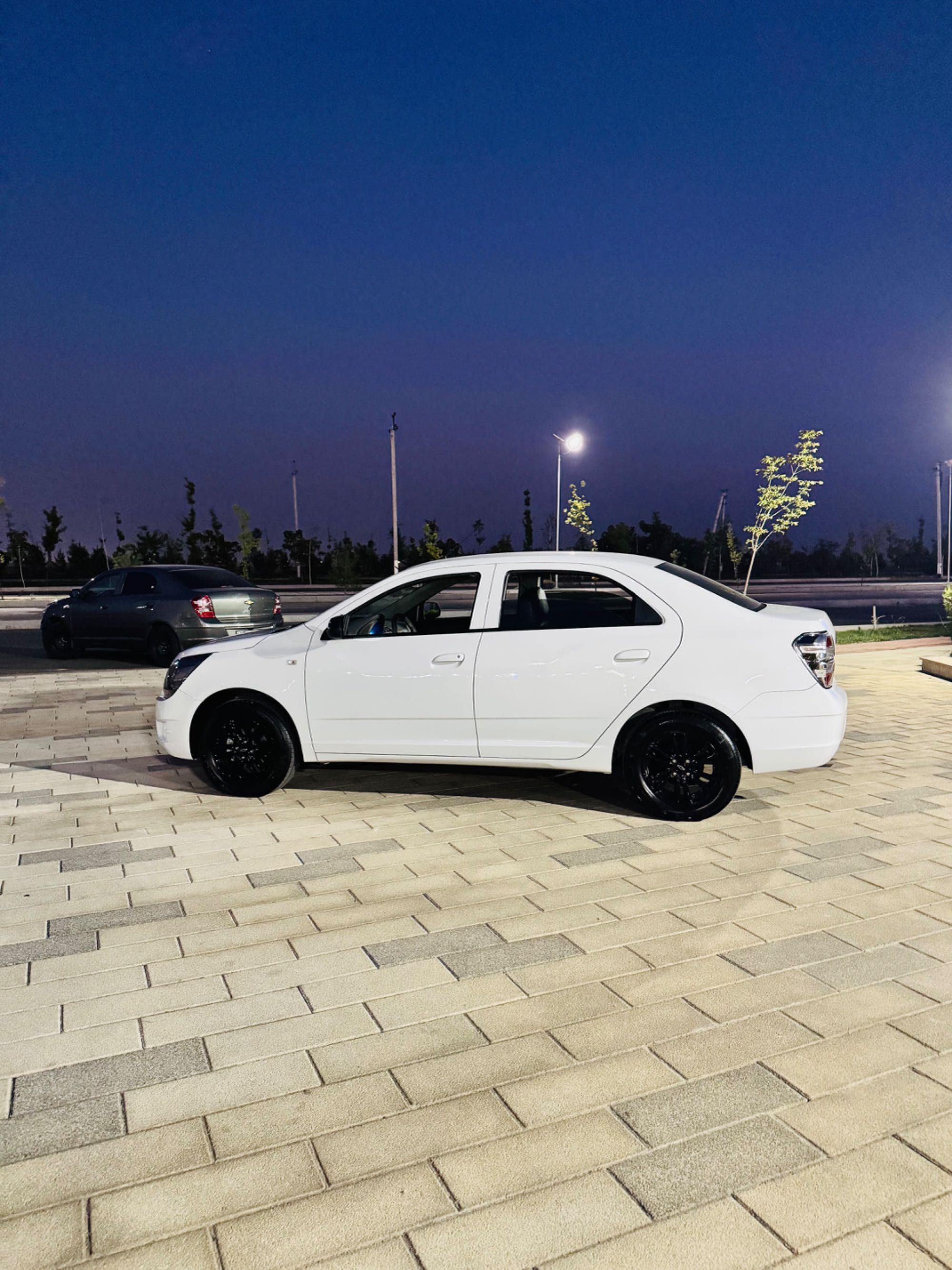 Cobalt Midnight 2025