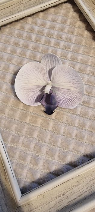 Accesoriu par mireasa