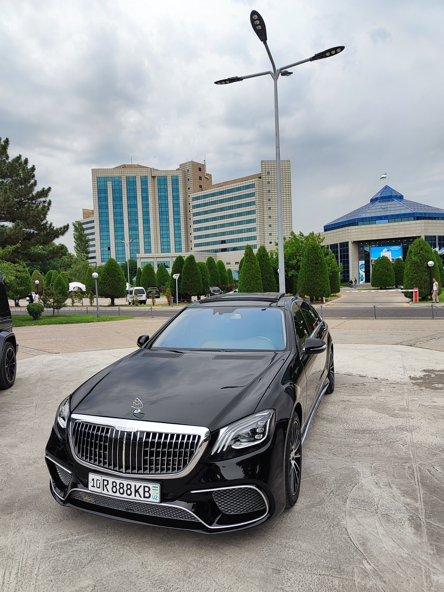 Той Кортеж Родом Toy Kortej Rodom888