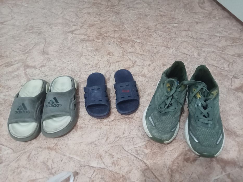 Отдам даром Отдам даром