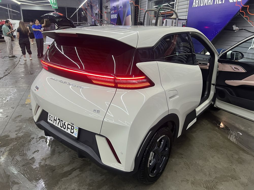 BYD seagull Honor 2024, 405 км