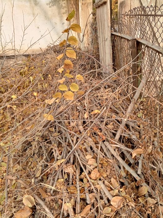 Внимание акция Диккат акция Утсин сотилади Кишни совук кунларига утсин