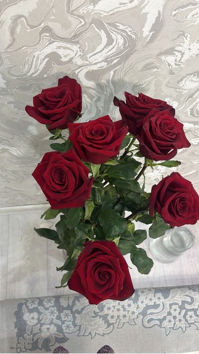 Метровые Розы 7шт