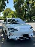 BYD Champion Elektromobil 2023/2024
