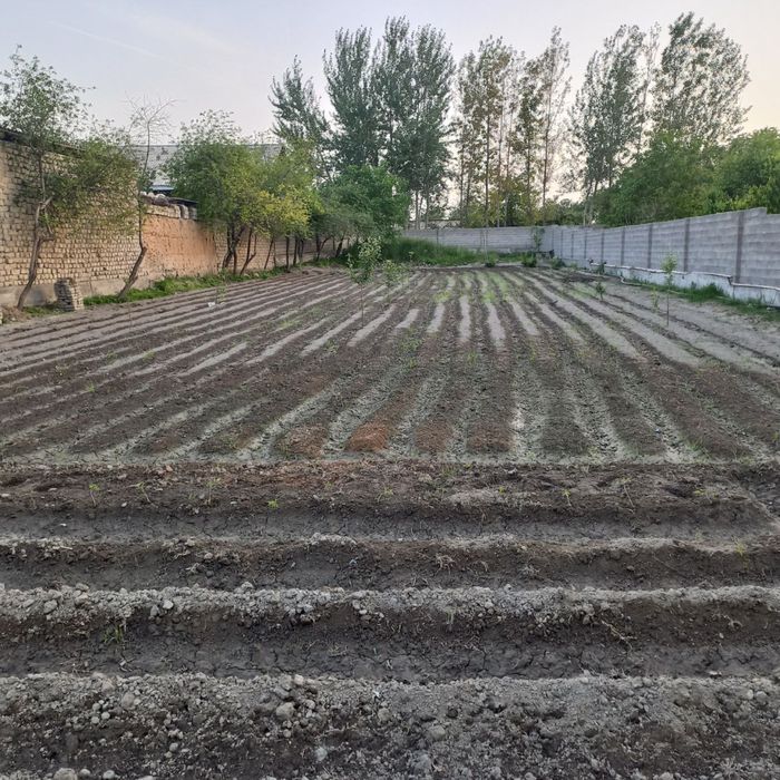 Yer uchaska sotiladi