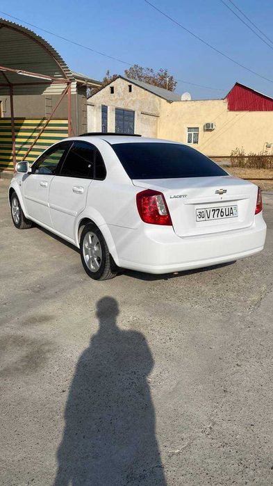 Jentra elegant plyus 2019