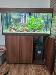 Acvariu juwel 180 cu stand.