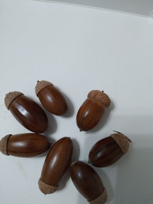 Жёлуди срочно продам